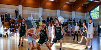 admo fvg