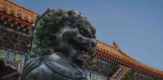 cina