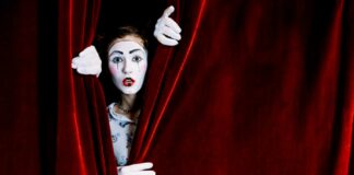 alpe adria puppet festival