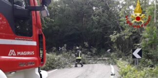vigili del fuoco