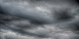meteo