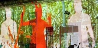 frontiere dei lunatici