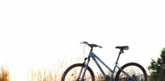 diabete a ruota libera