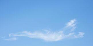 meteo