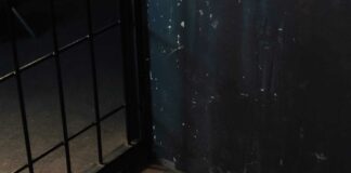 gorizia@news-detenuti-carcere