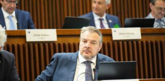 gorizia@news-bernardis-lega