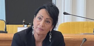 gorizia@news-CisintConsiglioComunale