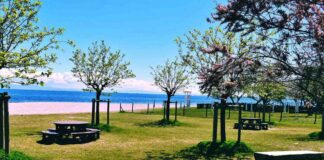 Monfalcone-eventi-stagione-balneare