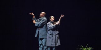 Gorizia@news, performa