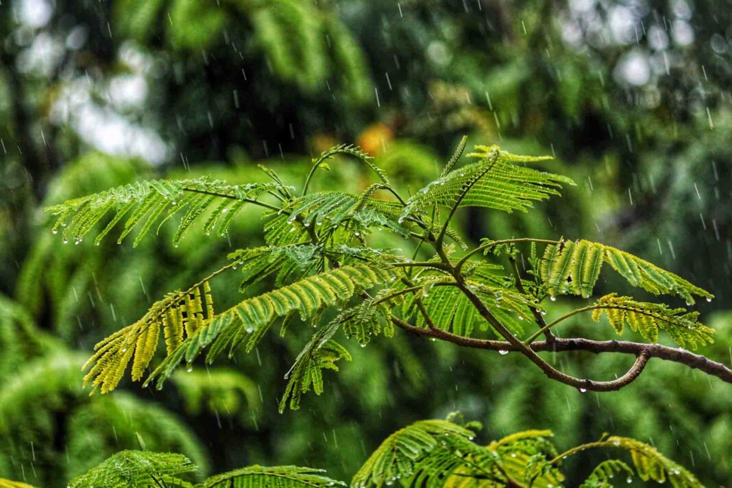 Foto di Jay Shah su Unsplash