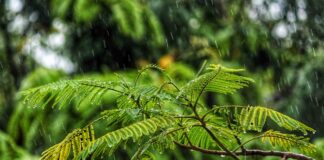 Foto di Jay Shah su Unsplash