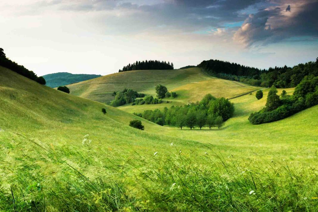 meteo