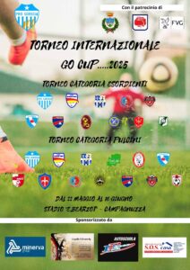 Go Cup 2025