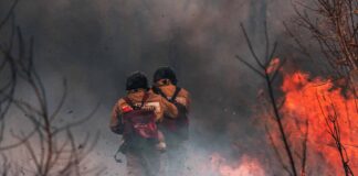 Monfalcone-prevenzione-incendi-boschivi
