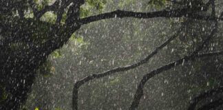 meteo