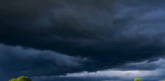 meteo