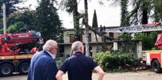 Gorizia maltempo