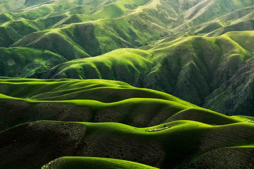Nature-Restoration-Law