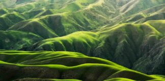 Nature-Restoration-Law