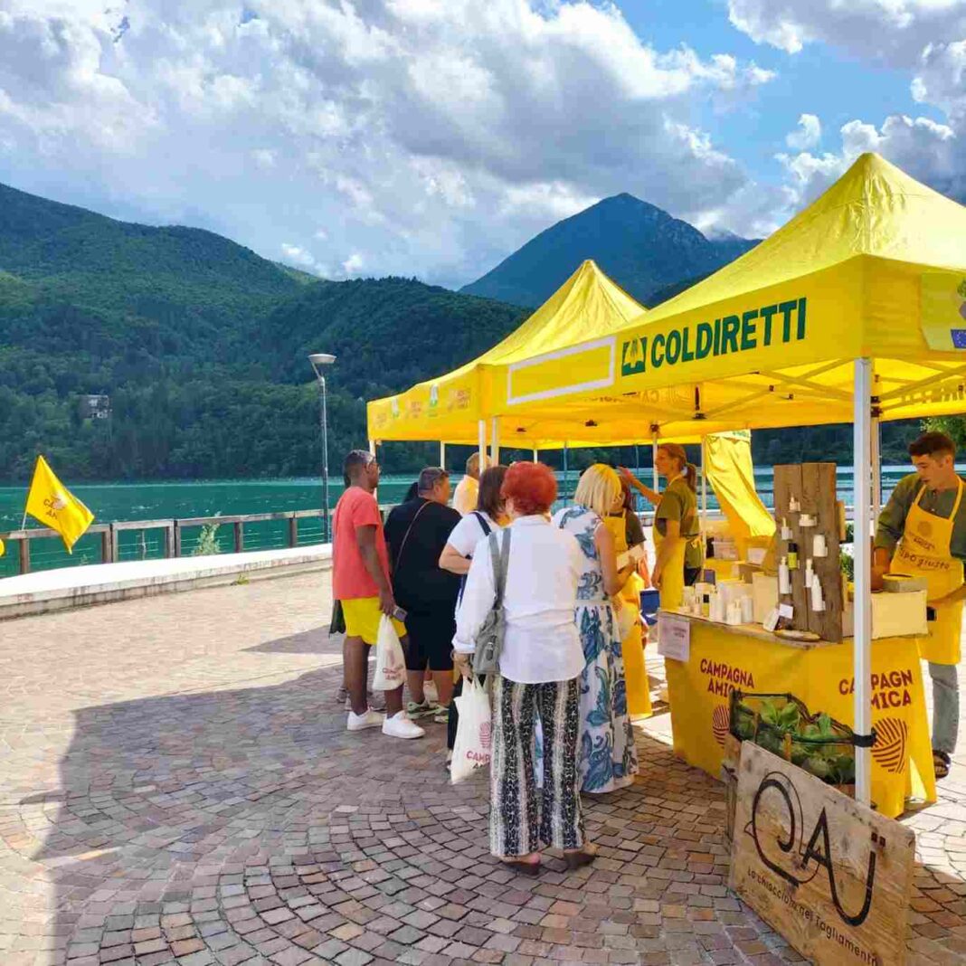 campagna amica