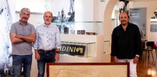 Consorzio-Culturale-del-Monfalconese