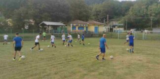 pro gorizia