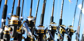 pesca