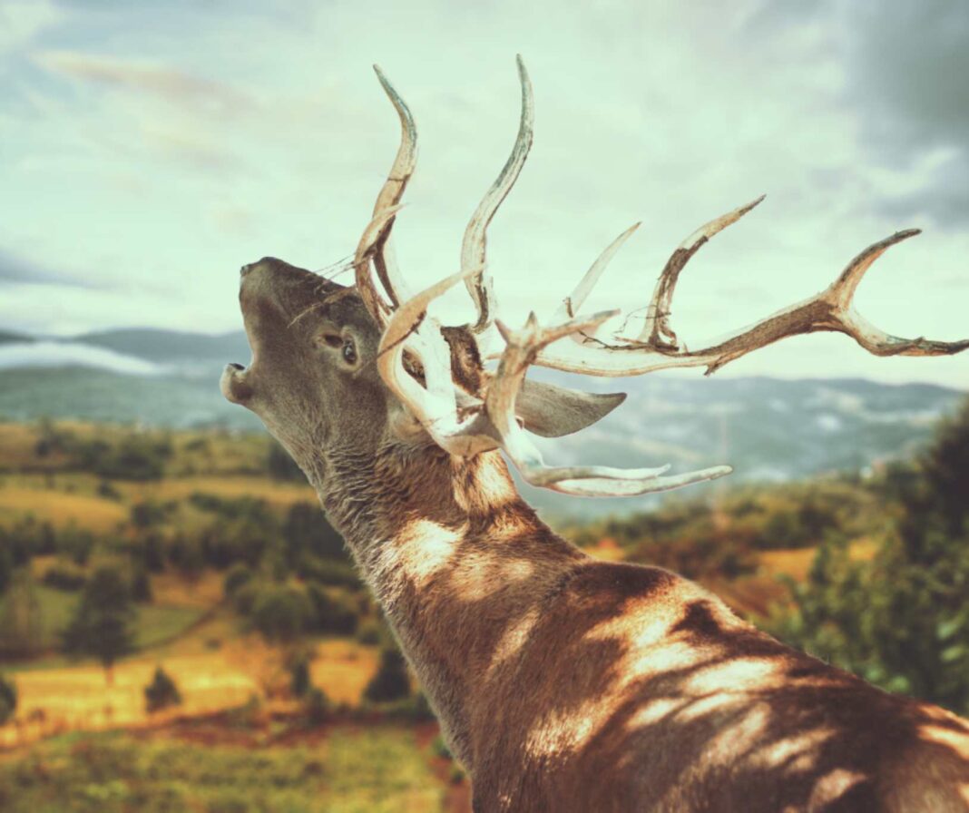Riserva naturale Doberdò