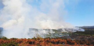 Incendi-Carso