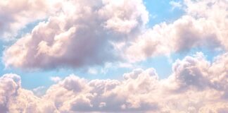 meteo
