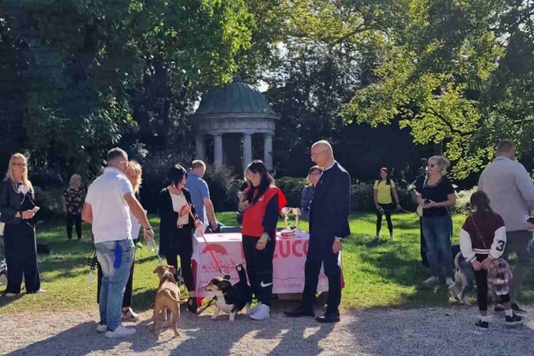 canile comunale