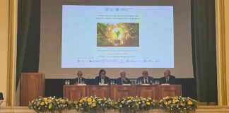 transizione energetica