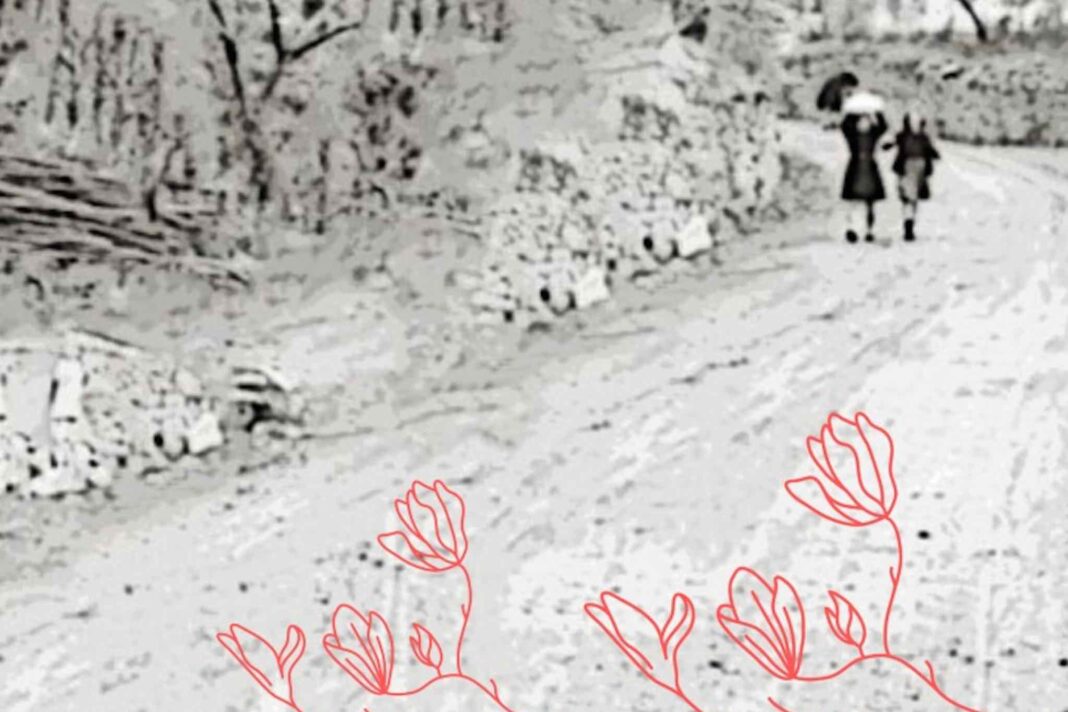 Donne di Confine