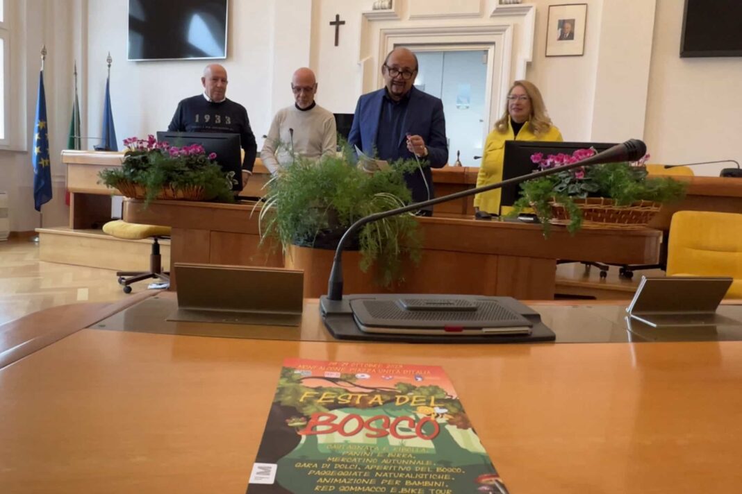 Festa del Bosco