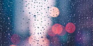 meteo