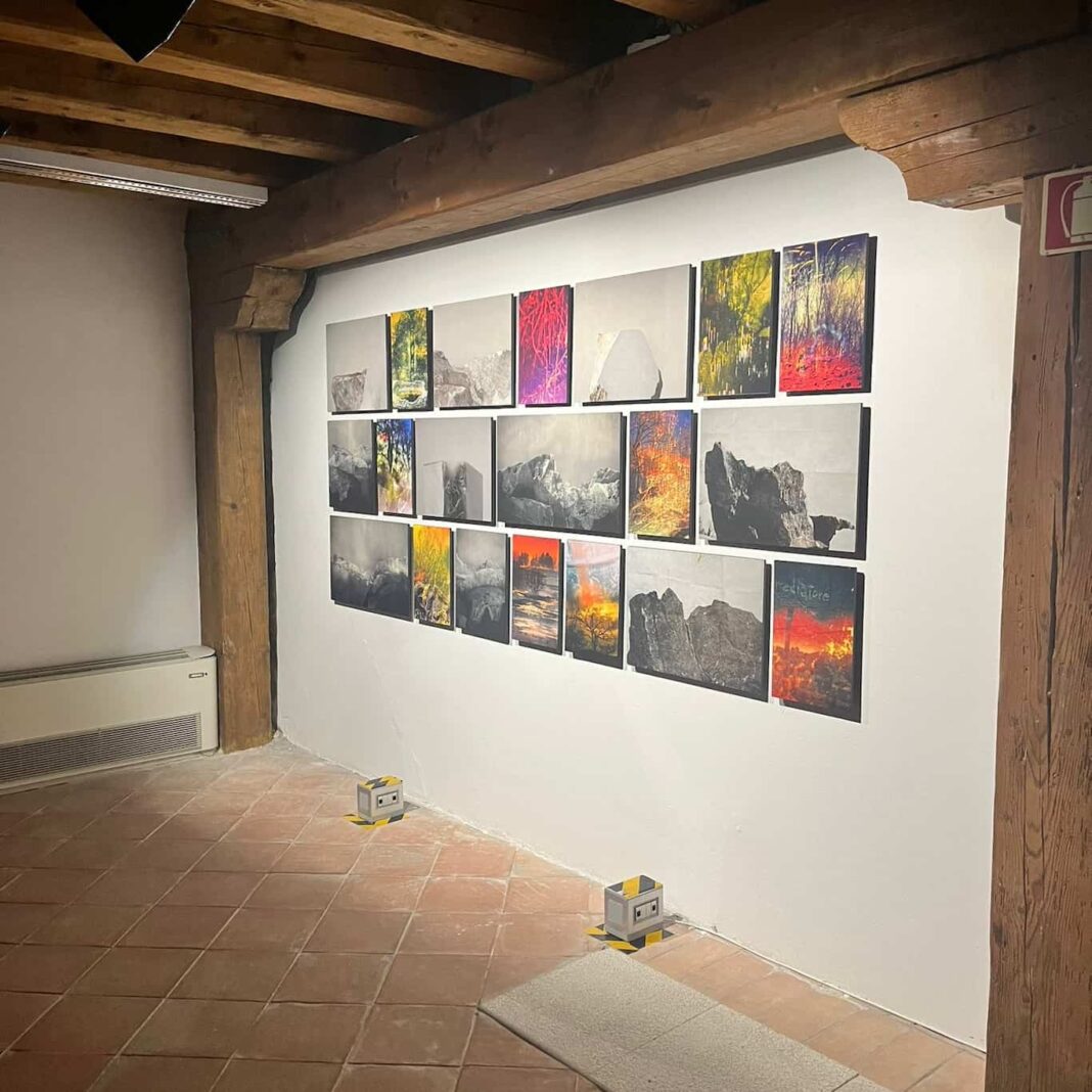 Fotografia Silva Lapidea