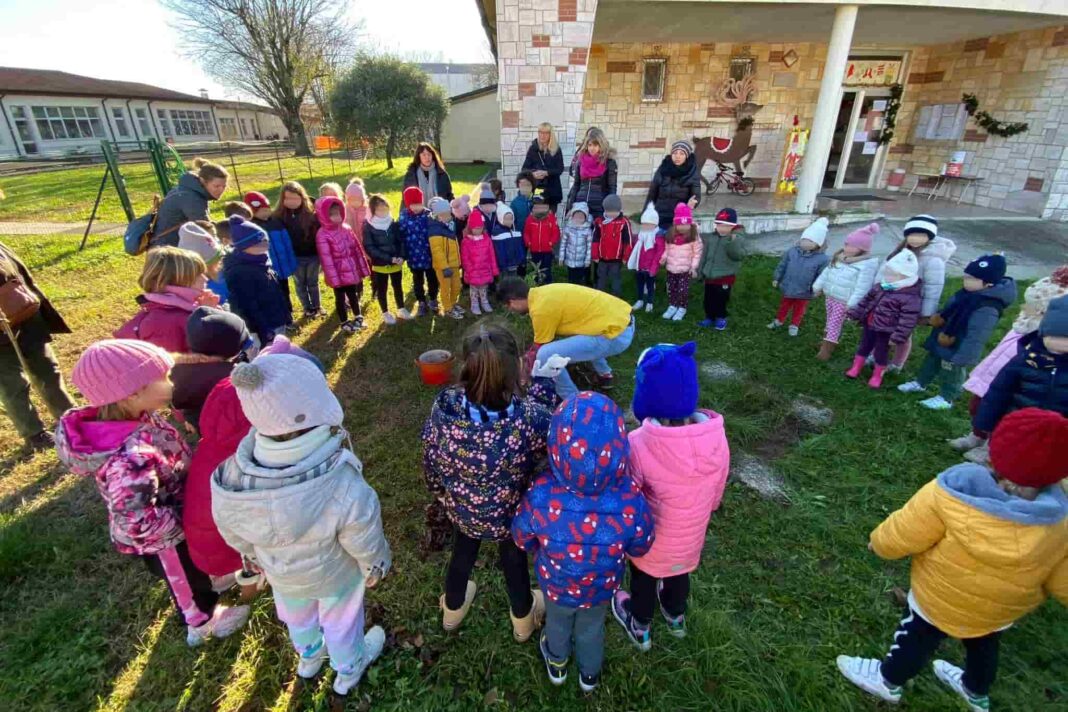 alloro scuola Mossa