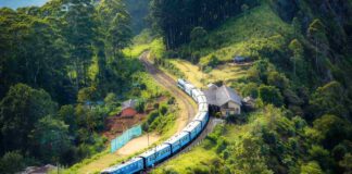 treno regionale gusto