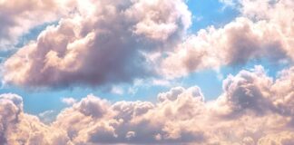 meteo
