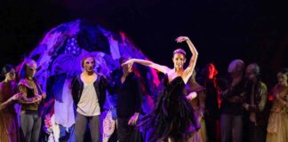 spettacoli gennaio Teatro Verdi Gorizia
