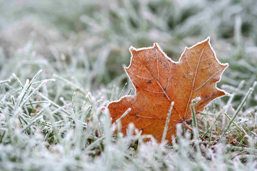 Meteo Friuli Venezia Giulia