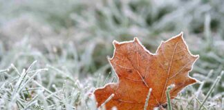 Meteo Friuli Venezia Giulia