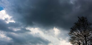 meteo