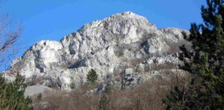 Parco Internazionale della Memoria CIAperta