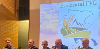 Essiccatoi Fvg