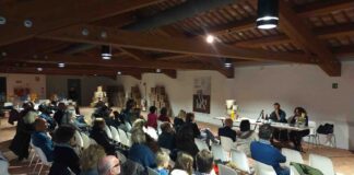 successo Silva Lapidea