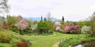Giardino Viatori Gorizia