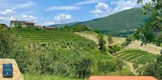 escursioni e visite guidate Crocevie d'Europa