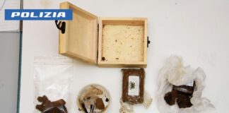hashish-Gorizia