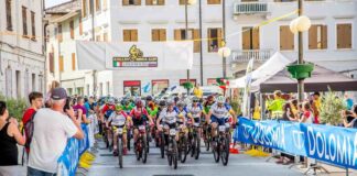 Collio-Brda Cup